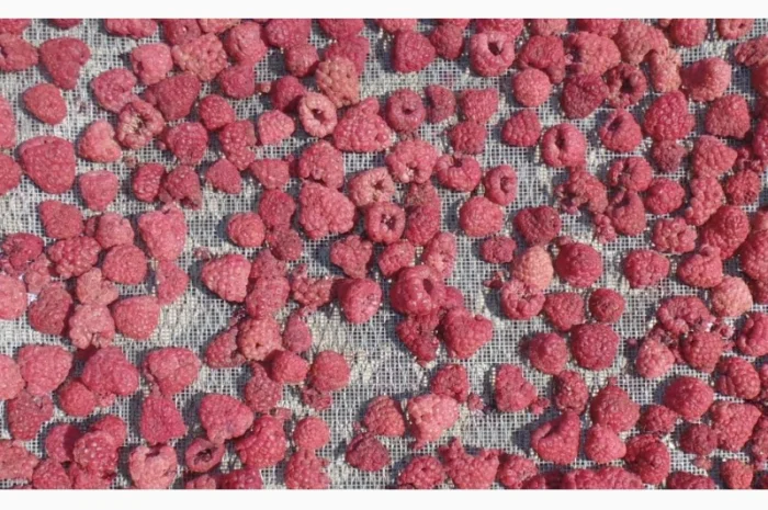 Сушена малина смородина полуниця яблука груша- фото № 3