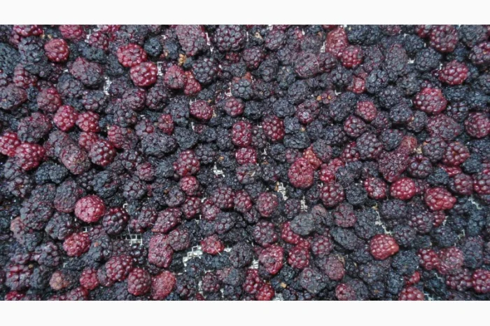 Сушена малина смородина полуниця яблука груша- фото № 4