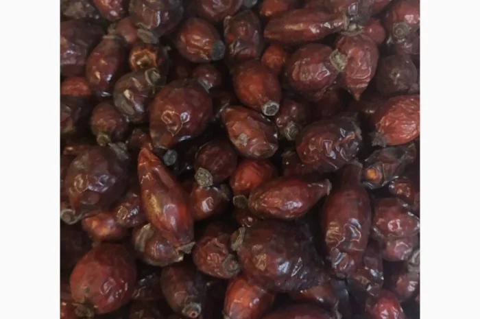 Купим свежие плоды шиповника., рябину красную, боярышник, терен, бузину- фото № 1