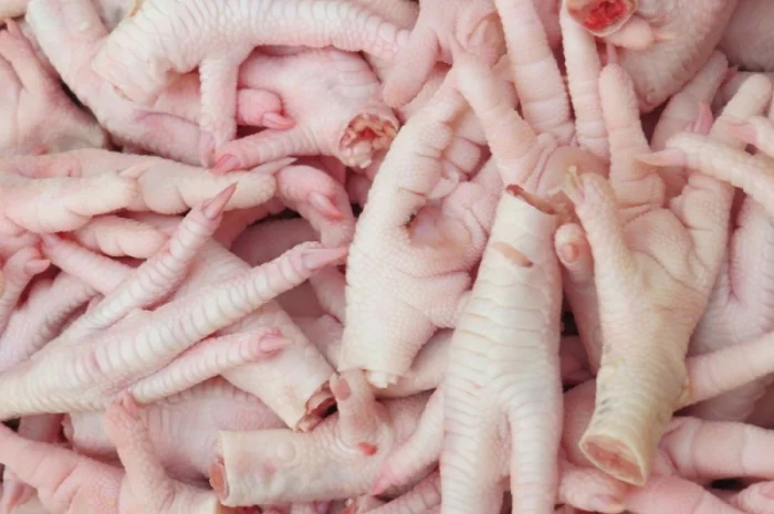 Проодам куриные лапки на экспорт- фото № 1