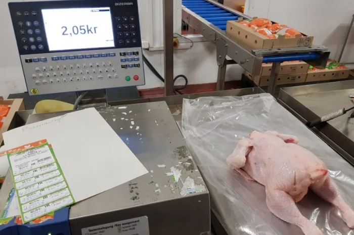 Курица Бройлер- фото № 1