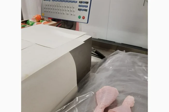 Курица Бройлер- фото № 2