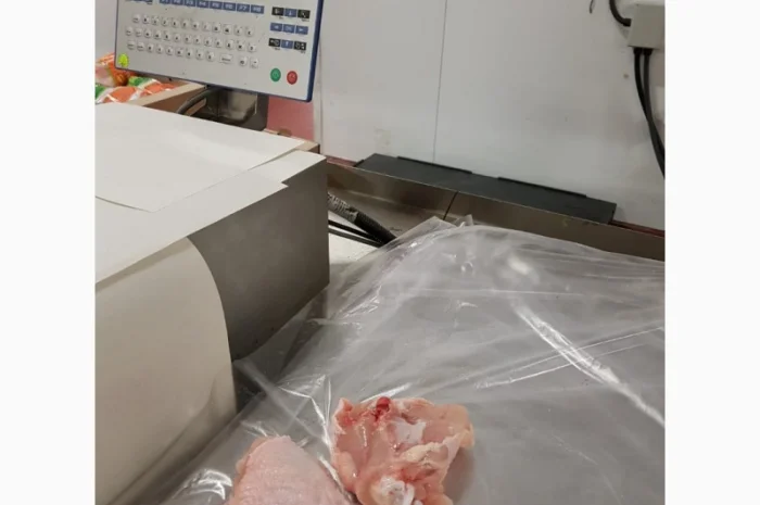 Курица Бройлер- фото № 4