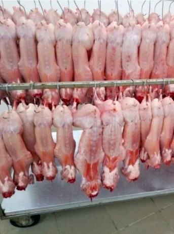 Продам мясо тушки кролика- фото № 1