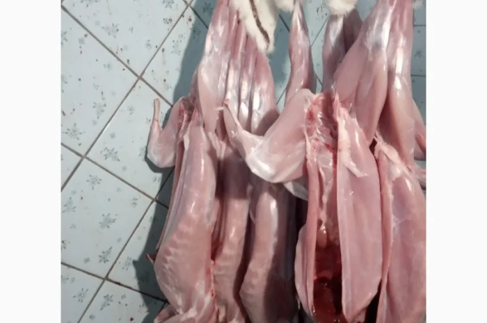 Продам мясо тушки кролика- фото № 2