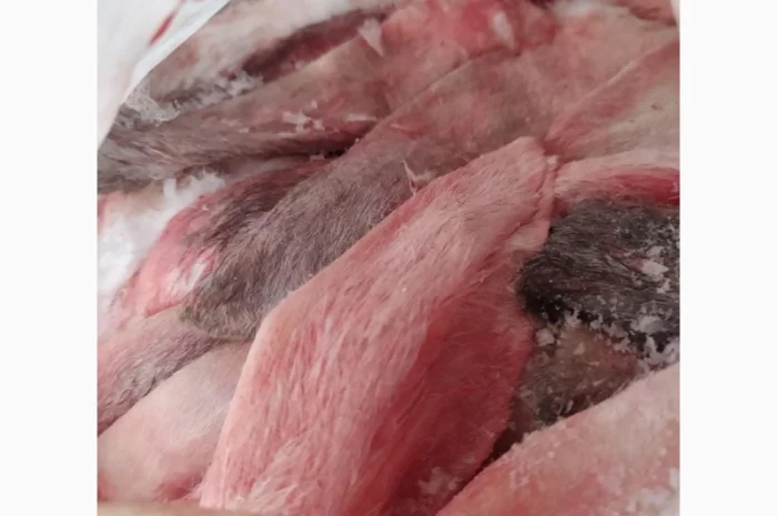 Куплю на постоянной основе уши, лапы и головы кролика- фото № 1