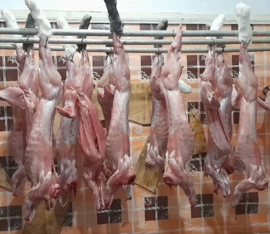 Продам тушку кролика- фото № 1