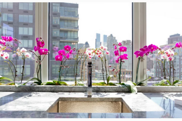 Кора соснова для орхідей та декоративних рослин- фото № 6