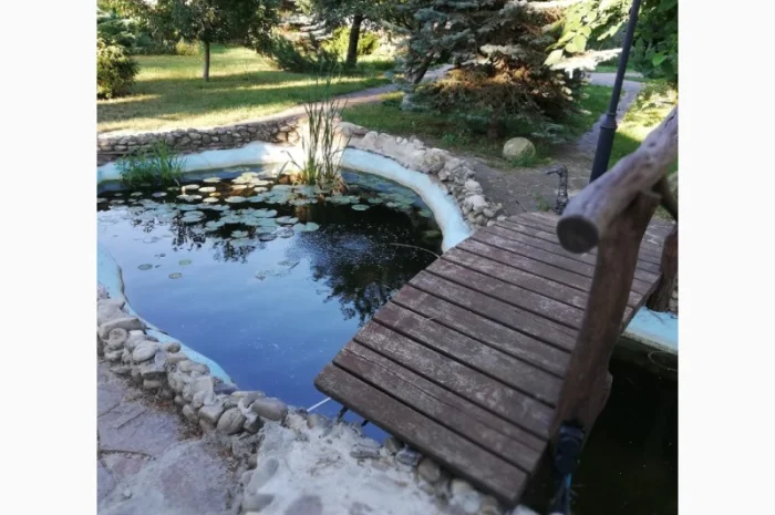 Водные растения для вашего пруда- фото № 7