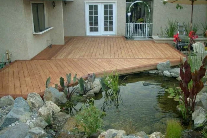 Водные растения для вашего пруда- фото № 12