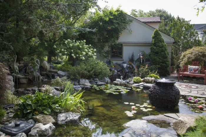 Водные растения для вашего пруда- фото № 13