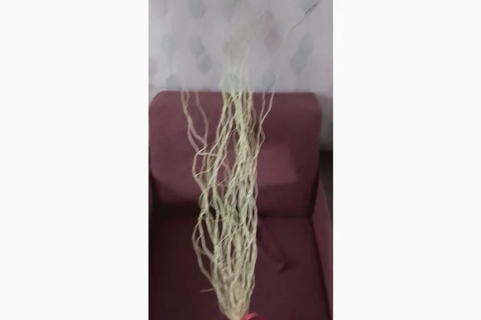 Гилочки кручёной вербы для декора- фото № 1