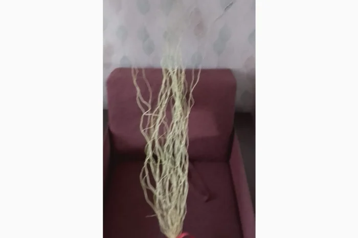 Гилочки кручёной вербы для декора- фото № 2