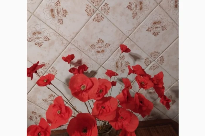 Продам колоски пшениці та квіти маку для квіткових композицій та декору- фото № 1