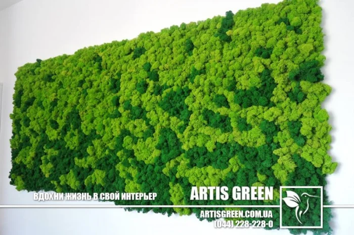 Декоративна стіна з стабілізованого моху- фото № 2