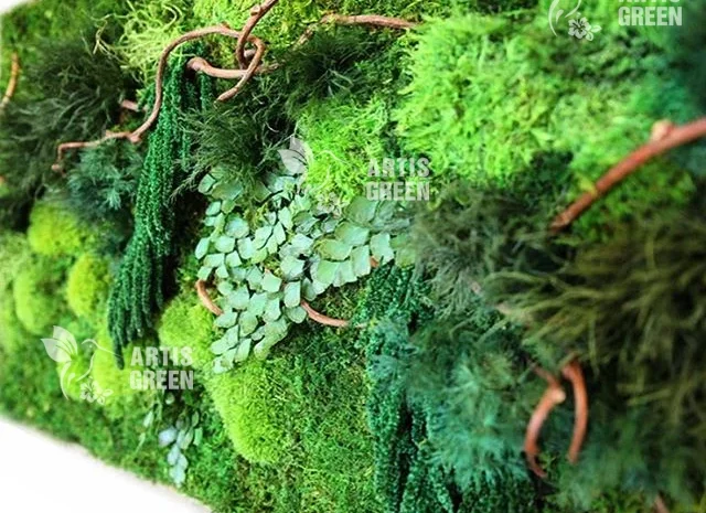 Екологічні картини та панно з моху та стабілізованих рослин- фото № 2