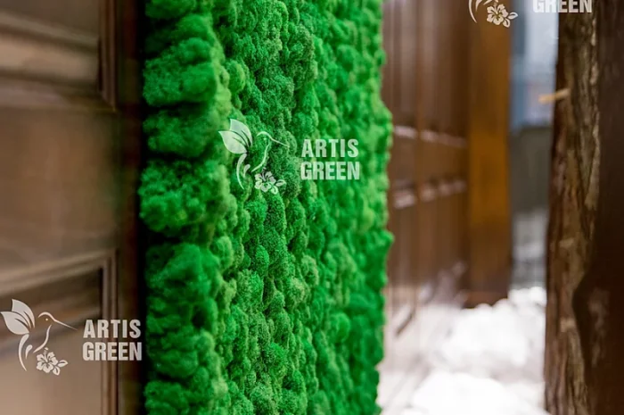 Екологічні картини та панно з моху та стабілізованих рослин- фото № 3