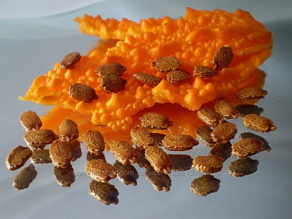 Семена момордики для вашего сада- фото № 1