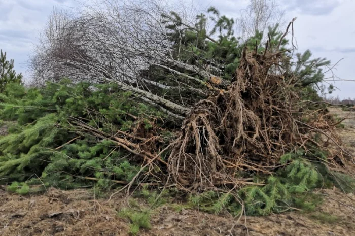 Корчеватель (гидрозахват) деревьев- фото № 9
