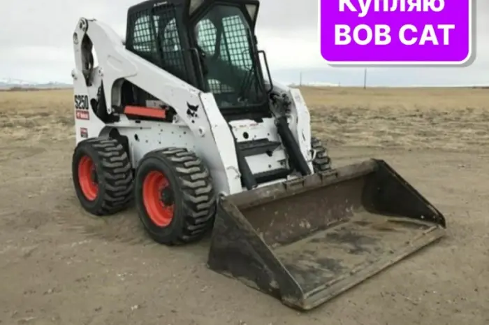 Куплю навантажувач Bobcat, Case, Hyundai- фото № 1