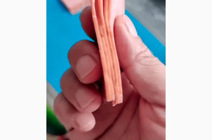 Слайсер для нарізки м'яса та риби STvega Meat Slicer H680- фото № 11