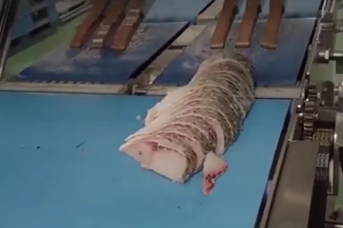 Слайсер для нарізки м' яса та риби під кутом STvega Slicer Fresh H250- фото № 2