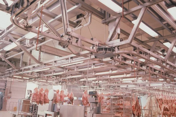 Линия по переработке мяса крупного рогатого скота- фото № 2