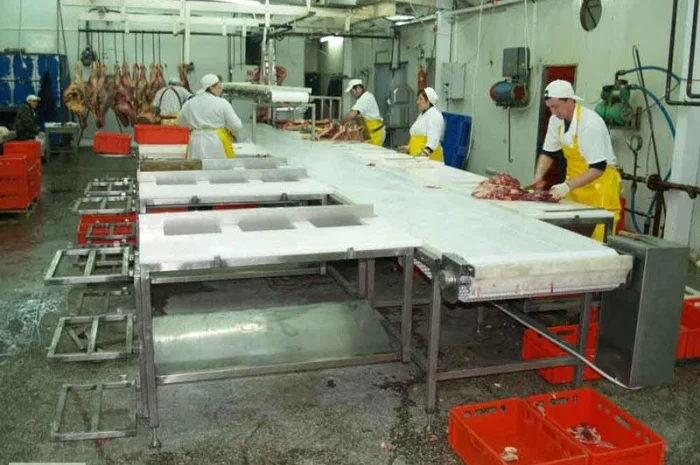 Линия по переработке мяса крупного рогатого скота- фото № 4