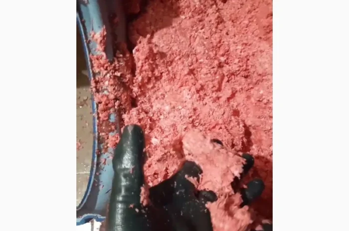 Дробилка костей до фракции фарша- фото № 6