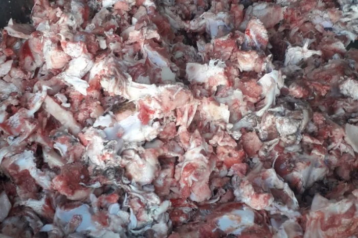 Измельчитель костей КРС (шредер)- фото № 3