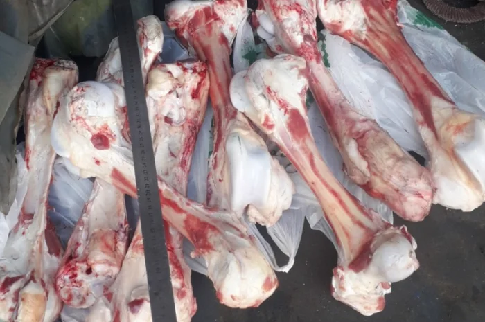 Линия производства фарша из костей КРС 1500 кг/ч- фото № 4