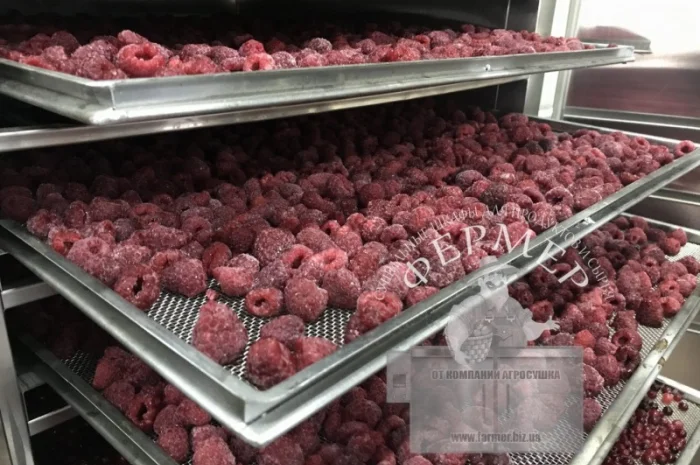 Инфракрасные промышленные шкафы для сушки фруктов, овощей, прочего- фото № 3