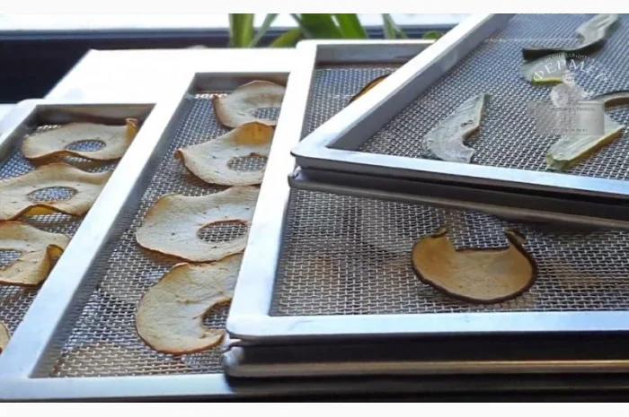 Инфракрасные промышленные шкафы для сушки фруктов, овощей, прочего- фото № 4