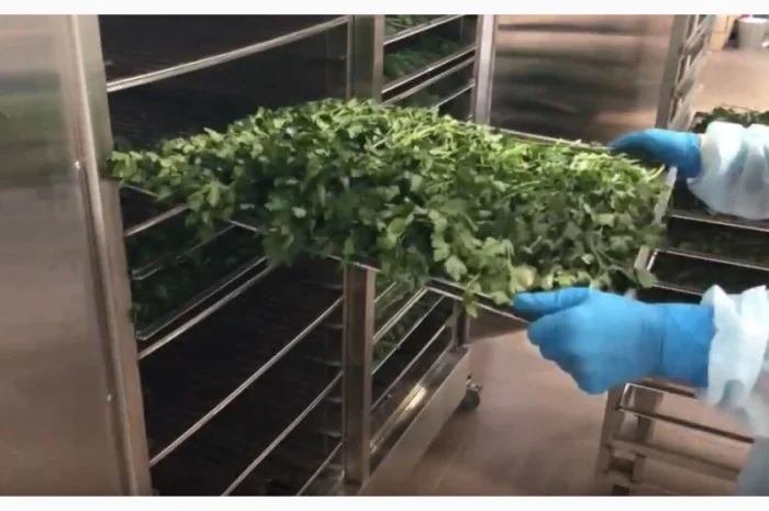 Инфракрасные промышленные шкафы для сушки фруктов, овощей, прочего- фото № 6