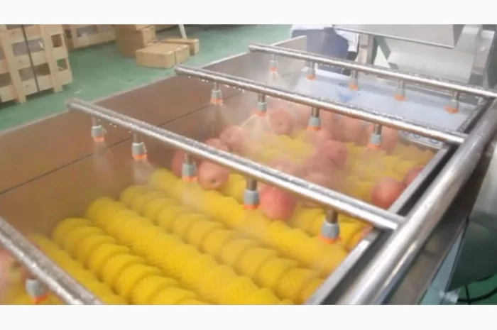 Машина для миття продуктів з ніжною шкіркою STvega Del Wash F15/30- фото № 5