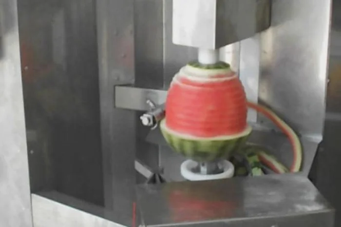 Машина для очищення гарбузових овочів від шкірки STvega VML H150- фото № 8