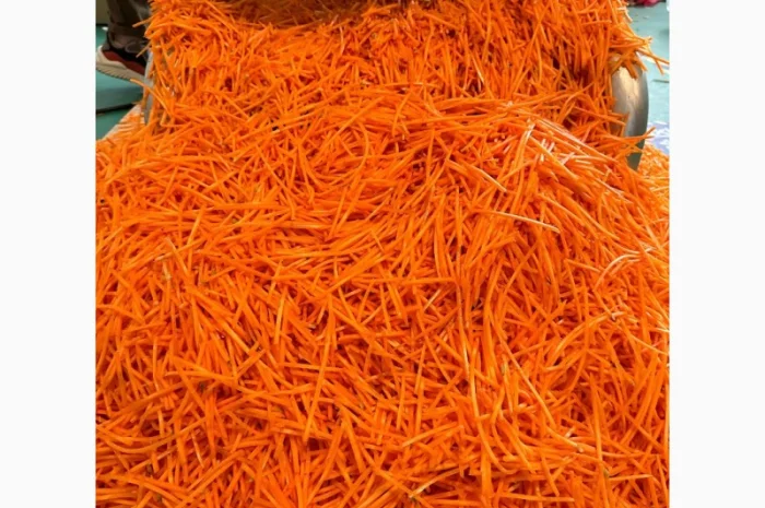 Промислова овочерізка для нарізки моркви по-корейськи STvega Strip Slicer H3000- фото № 13