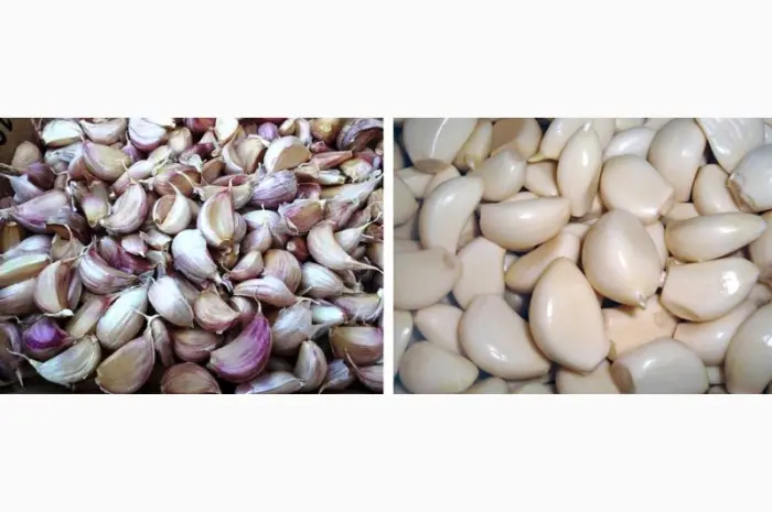 Часникочистка для очищення зубчиків часнику від лушпиння STvega Garlic Peeler H50- фото № 14