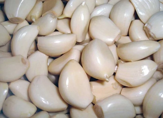 Машина для очищення зубчиків часнику від лушпиння STvega Garlic Peeler H100- фото № 3