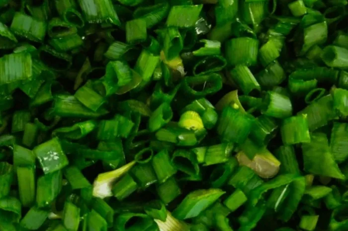 Овочерізка для нарізки та шаткування зелені, овочів та фруктів STvega Belt Cutter Mini- фото № 9