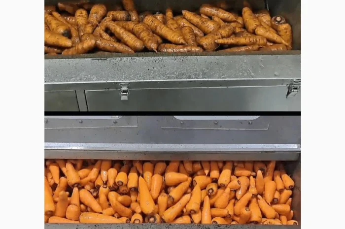 Машина для миття та очищення коренеплодів STvega ST F1200- фото № 9