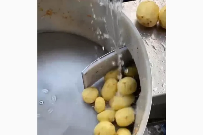 Машина для ножового очищення картоплі STvega KPel Potato H500- фото № 6