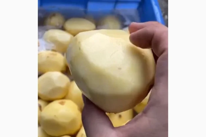 Машина для ножового очищення картоплі STvega KPel Potato H500- фото № 7