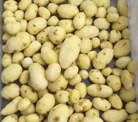 Машина для ножового очищення картоплі STvega KPel Potato H500- фото № 8