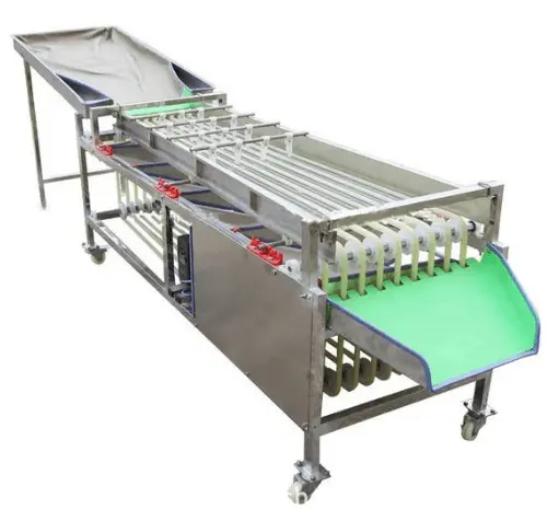 Сортировочно-калибровочная машина для овощей и фруктов STvega Sorting H2000- фото № 1