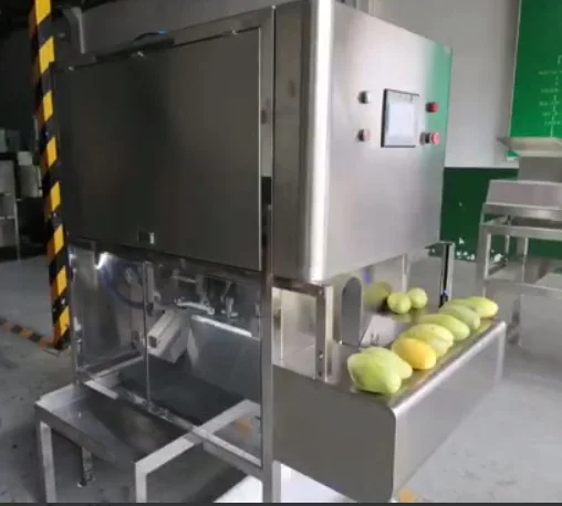 Очищення від шкірки та видалення кісточки манго STvega MP H800 A- фото № 1