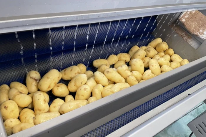 Машина для миття та очищення коренеплодів STvega ST L1200- фото № 12