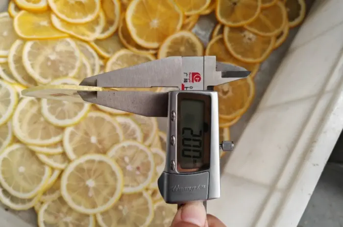 Слайсер для нарізки чіпсів із фруктів STvega Belt Cutter H20- фото № 10