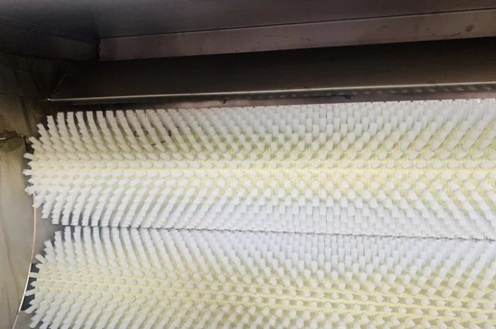 Машина для миття та очищення коренеплодів STvega ST H1800- фото № 7