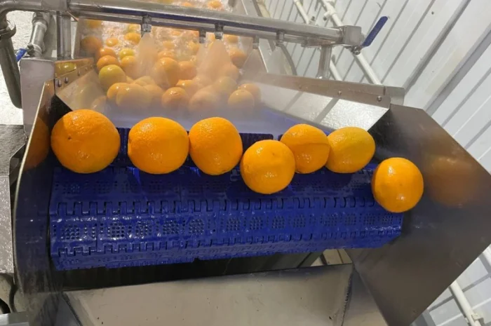 Барботажна ванна для делікатного миття продуктів STvega BW H2400- фото № 9